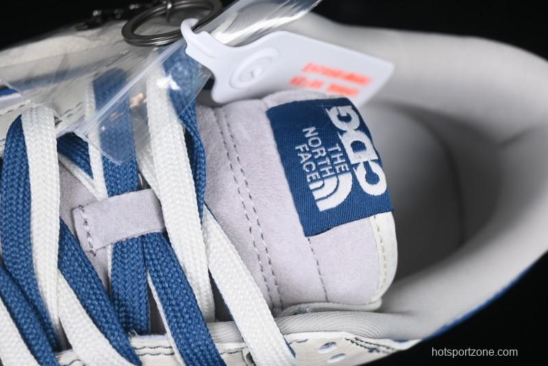 Nike SB Dunk Low The North Face Collaboration Anniversary Edition Customized Low-Top Casual Skate Shoes - DM6868-040