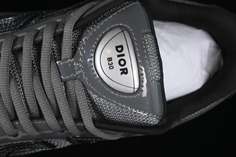 Dior B30 CD Sneakers - AJE5